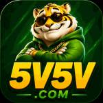 5v5v 5v5v Profile Picture